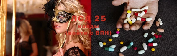 прущие крисы Алексеевка