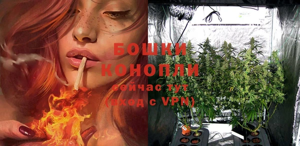 дживик Касимов