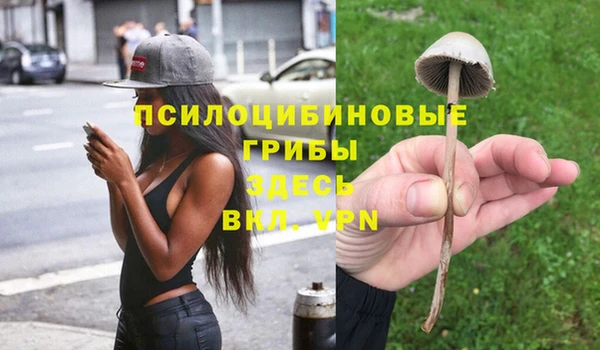 прущие крисы Алексеевка