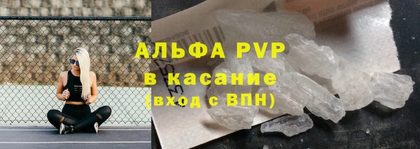 гидра Алексин