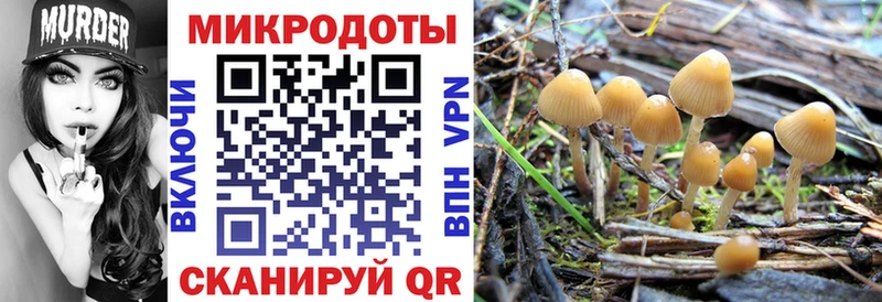 Псилоцибиновые грибы мицелий  купить наркотики цена  МЕГА зеркало  Невинномысск 